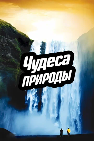 Постер: Чудеса природы