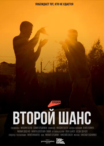 Постер: Второй шанс