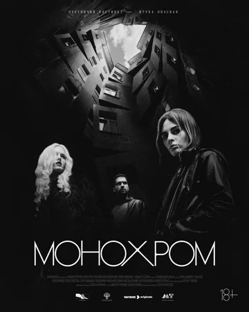 Постер: Монохром