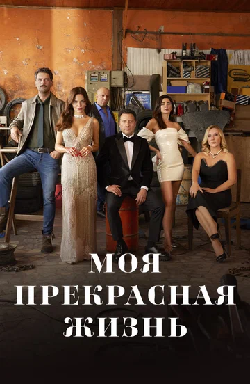 Постер: Моя прекрасная жизнь