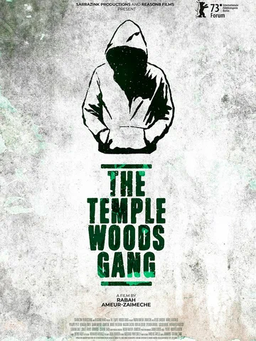 Постер: Le gang des Bois du Temple