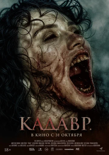 Постер: Кадавр