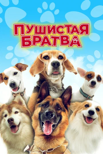 Постер: Пушистая братва