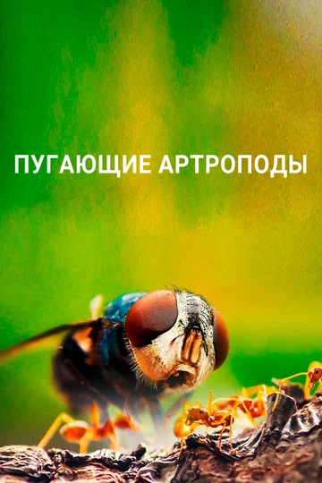 Постер: Пугающие артроподы