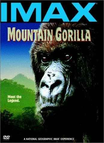 Постер: Mountain Gorilla
