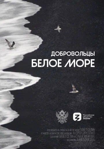 Постер: Добровольцы. Белое море