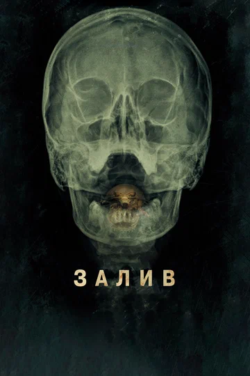 Постер: Залив