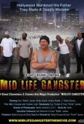 Постер: Mid Life Gangster