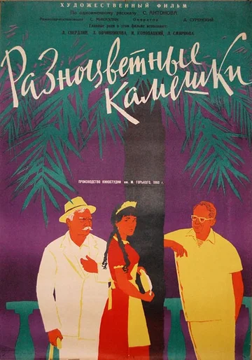 Постер: Разноцветные камешки