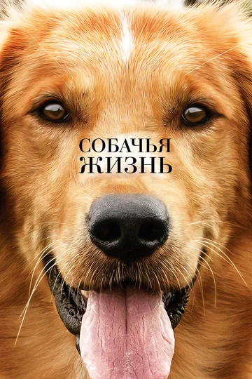 Постер: Собачья жизнь
