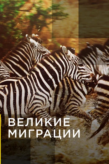 Постер: Великие миграции