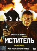 Постер: Мститель