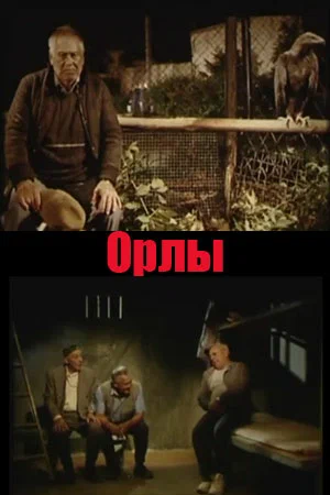 Постер: Орлы