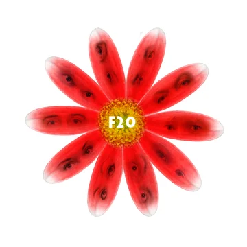 Постер: F20