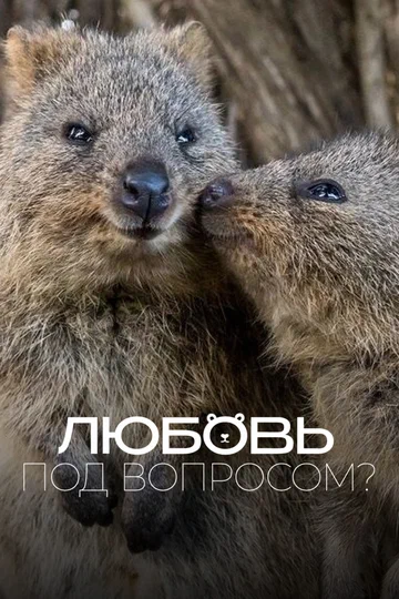 Постер: Любовь под вопросом?