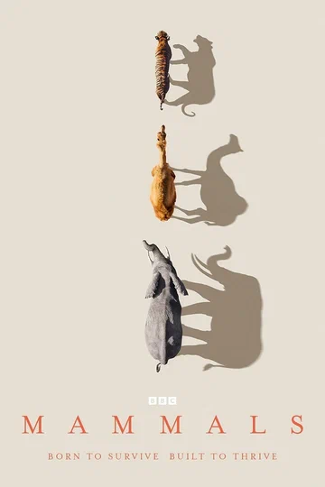 Постер: Mammals