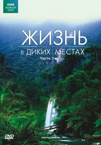 Постер: BBC: Жизнь в диких местах