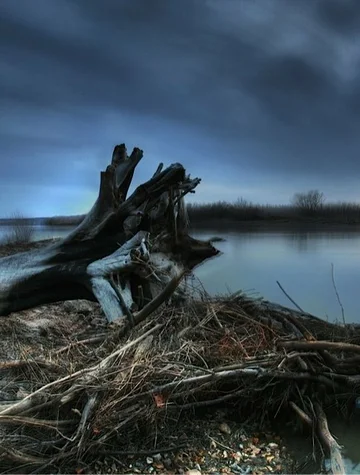 Постер: Down by the Water