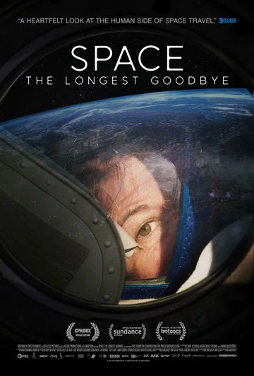 Постер: The Longest Goodbye