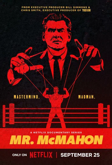 Постер: Мистер Макмэн