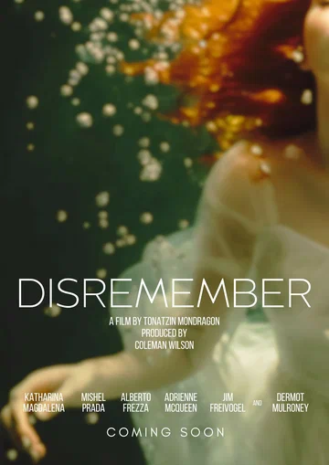 Постер: Disremember