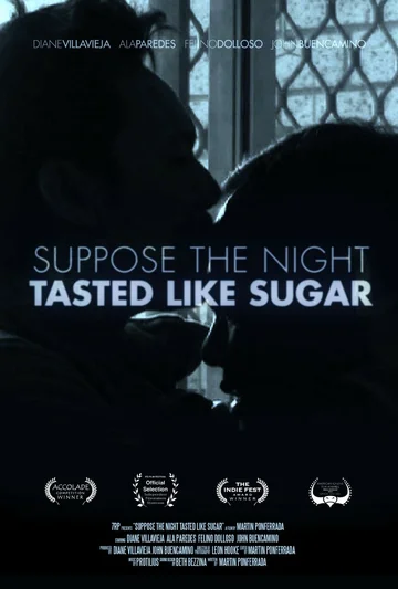 Постер: The Night