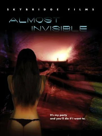 Постер: Almost Invisible