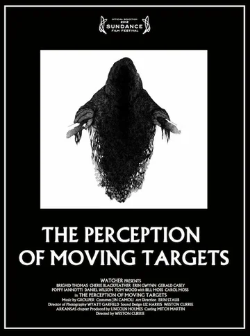 Постер: The Perception of Moving Targets