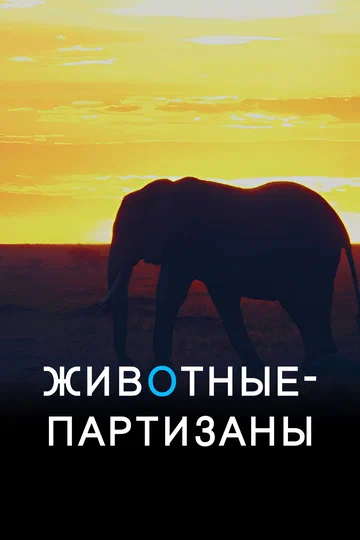 Постер: Животные-партизаны