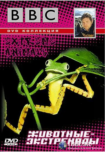 Постер: BBC: Животные-экстремалы