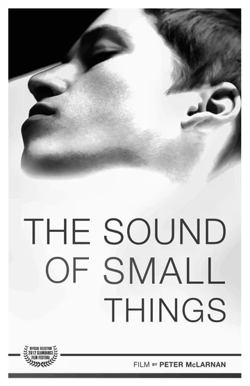 Постер: The Sound of Small Things
