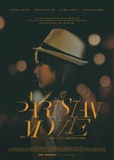 Постер: A Parisian Movie