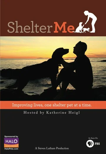 Постер: Shelter Me