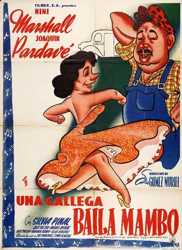 Постер: Una gallega baila mambo