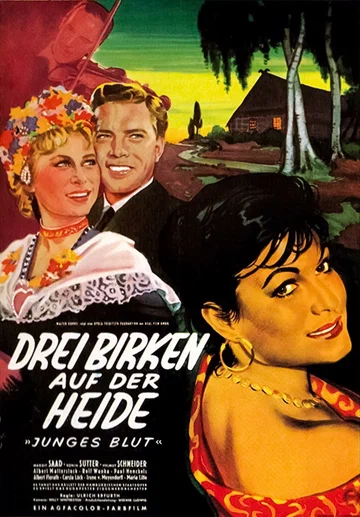 Постер: Drei Birken auf der Heide