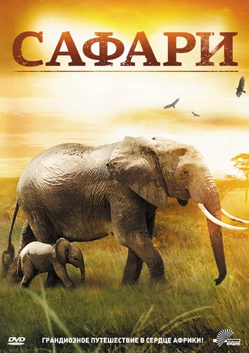 Постер: Сафари