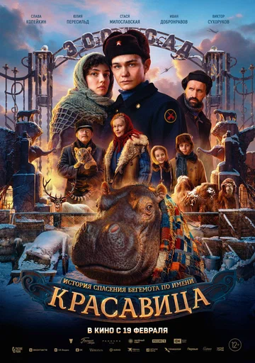 Постер: Красавица