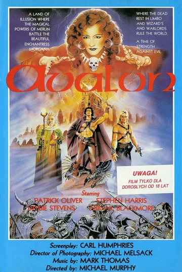Постер: Авалон