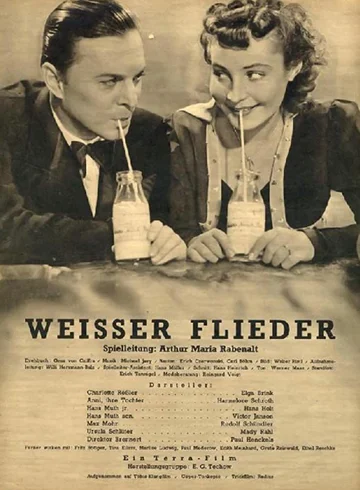 Постер: Weißer Flieder