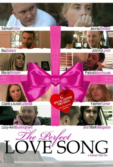 Постер: The Perfect Love Song