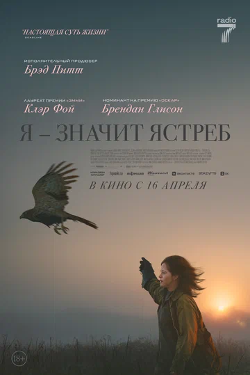 Постер: Я — значит Ястреб