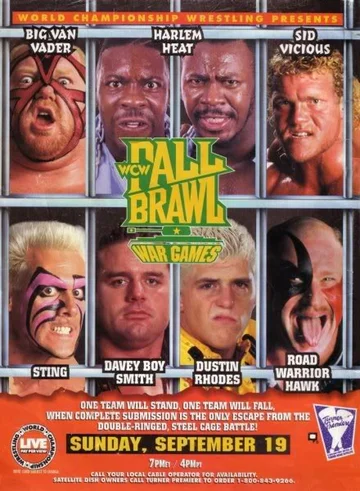 Постер: WCW Жёсткая драка