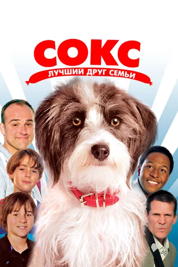 Постер: Сокс. Лучший друг семьи