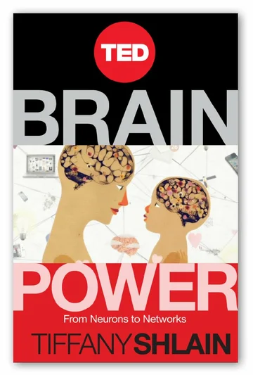 Постер: Brain Power: From Neurons to Networks
