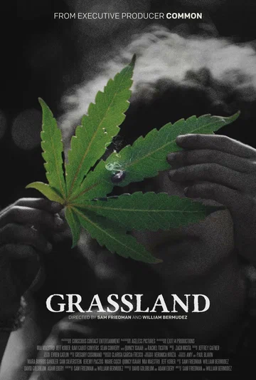Постер: Grassland