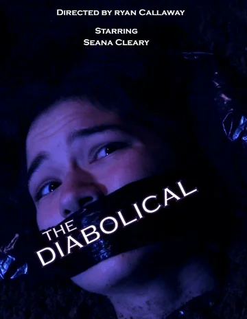 Постер: The Diabolical