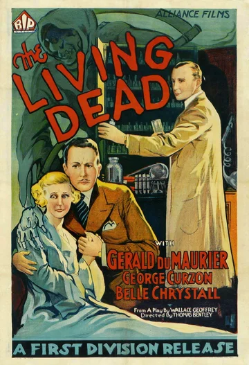Постер: The Scotland Yard Mystery