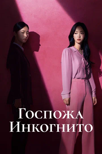Постер: Госпожа Инкогнито