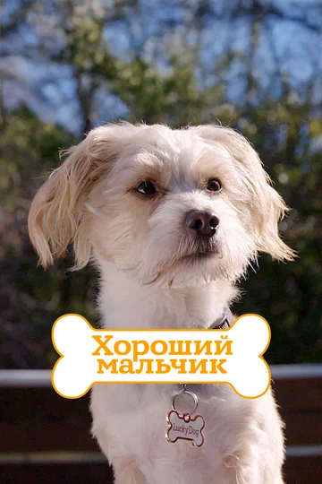 Постер: Хороший мальчик