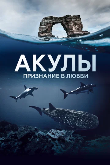 Постер: Акулы. Признание в любви